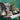 MI CASA SU CASA JACQUARD - Good Quality Human