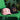 YOUTH HATS