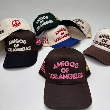 AMIGOS OF LOS ANGELES
