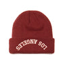 LOS ANGELES REBEL BEANIE - Good Quality Human