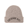 LOS ANGELES REBEL BEANIE - Good Quality Human