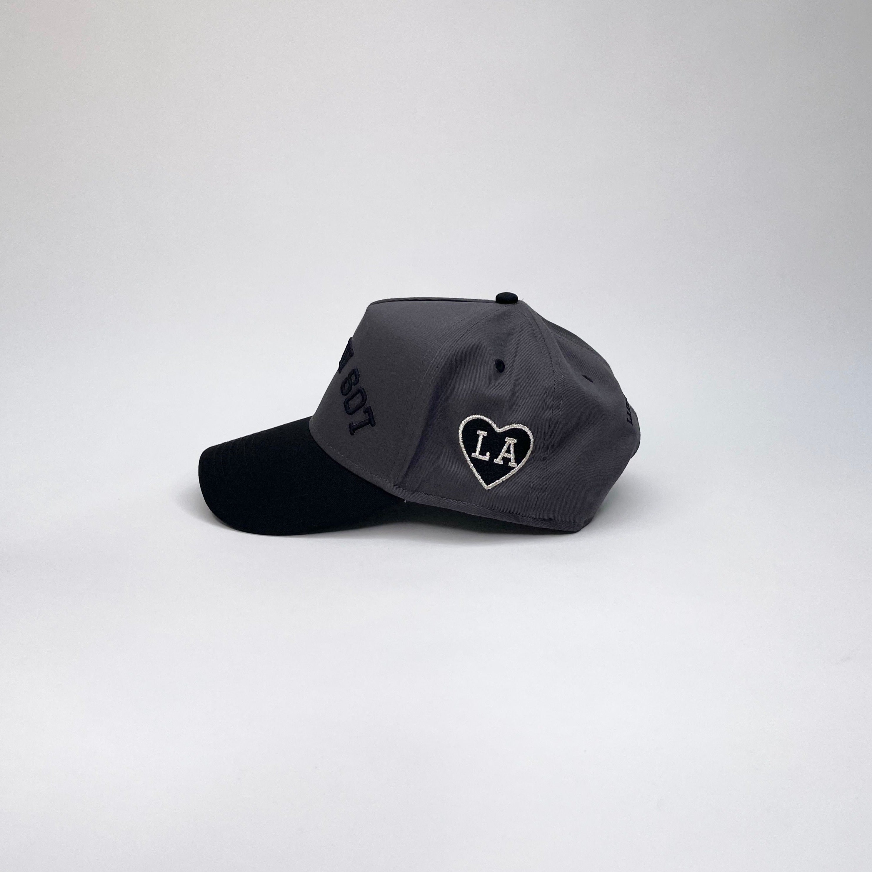 LOS ANGELES REBEL